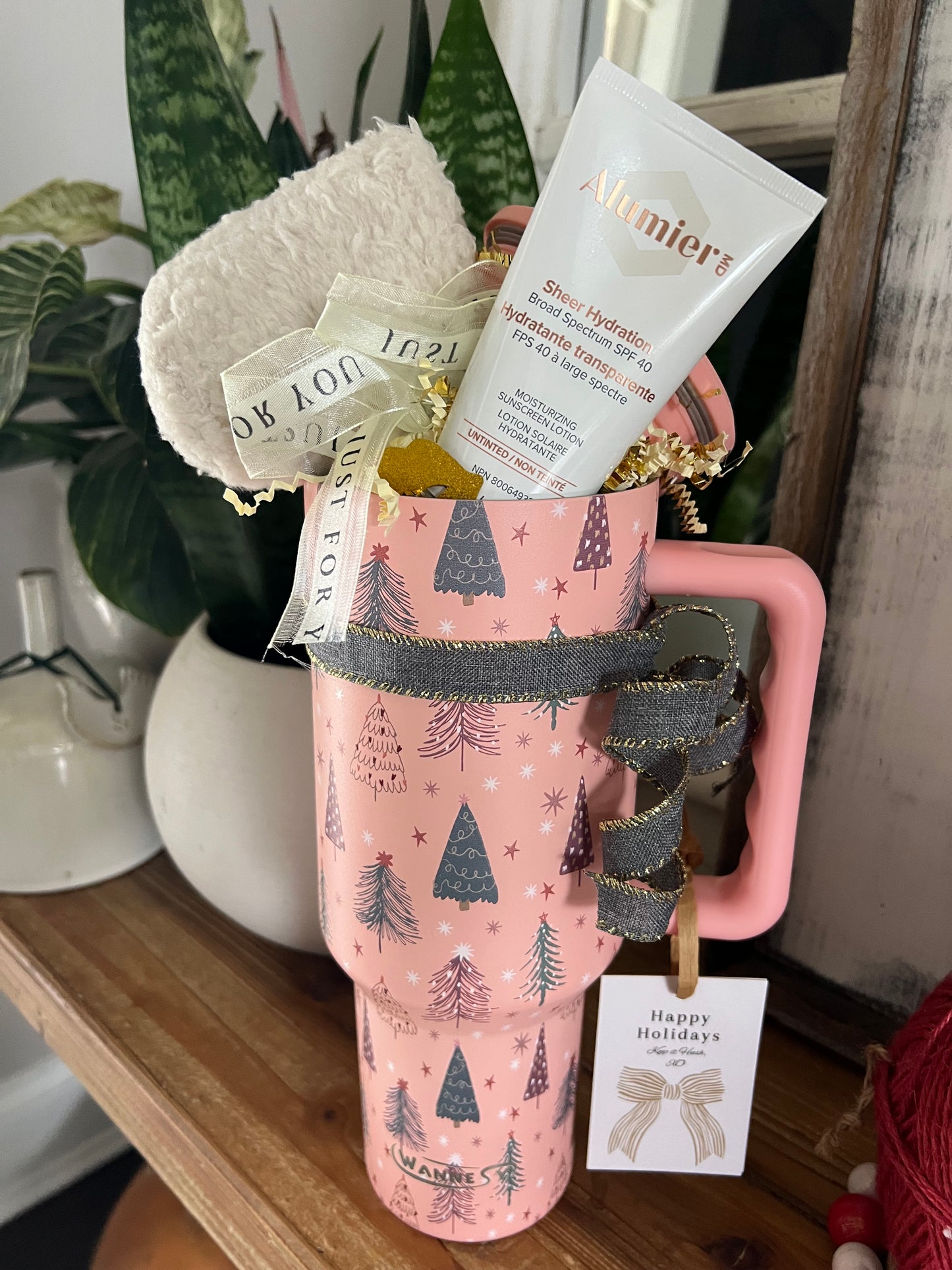 Holiday Hydration Tumbler Gift